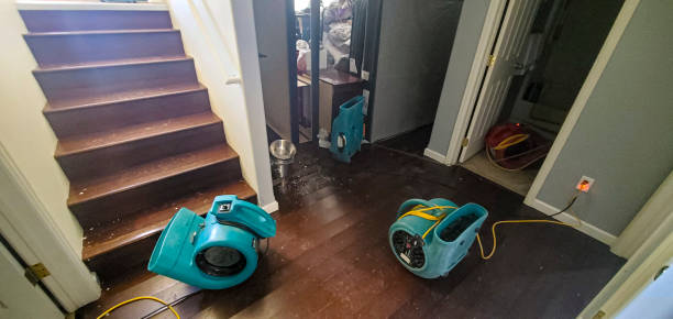 Best Basement water damage restoration  in Port Dickinson, NY