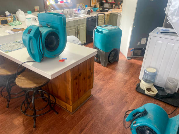 Best Water damage restoration near me  in Port Dickinson, NY