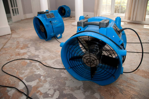 Best Local water damage restoration  in Port Dickinson, NY