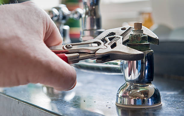 Best Mold removal after water damage  in Port Dickinson, NY