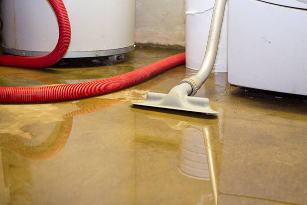 Best Water damage cleanup near me  in Port Dickinson, NY