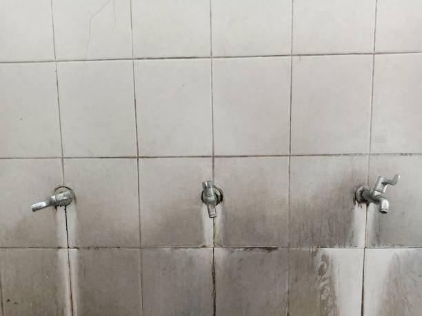 Best Fire Damage Restoration  in Port Dickinson, NY