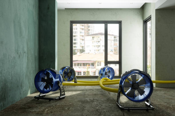 Trusted NY Water damage restoration Experts